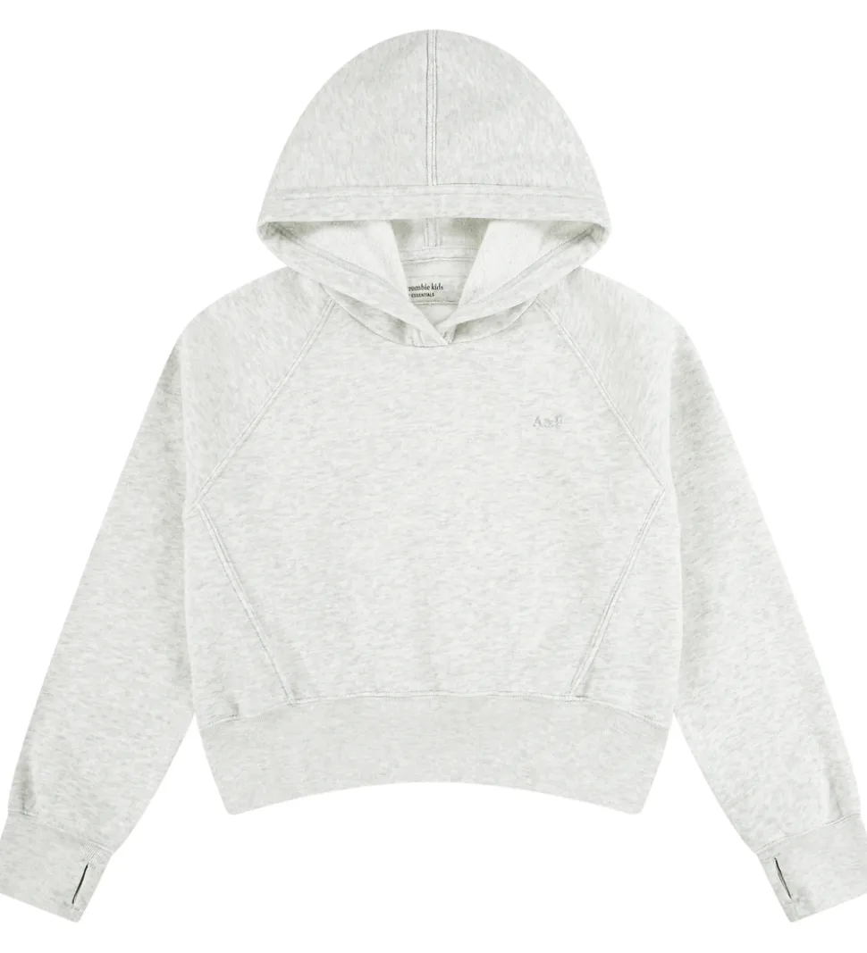 Abercrombie & Fitch Hættetrøje - Lysegråmeleret