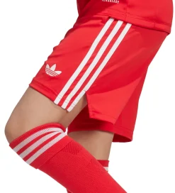 adidas Originals Shorts - FC Bayern München 25/26 - Pure Ruby