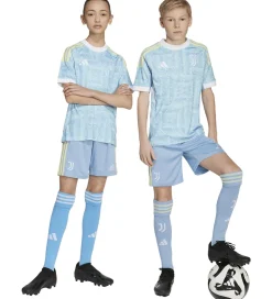 adidas Performance Shorts - Juventus - Ashblu