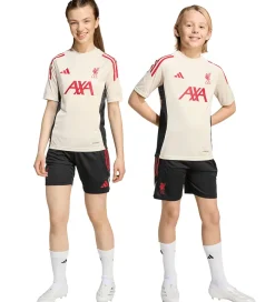 adidas Performance Shorts - Liverpool - Sort