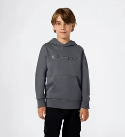 Champion Hættetrøje - Forged Steel Grey