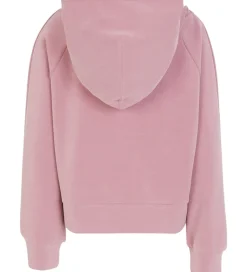 Emporio Armani Hættetrøje - Lilas