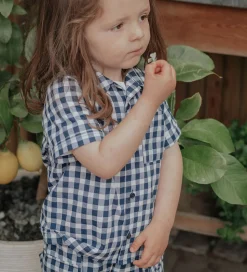 Fliink Shorts - Cargo - Zorro - Insignia Sandshell Check