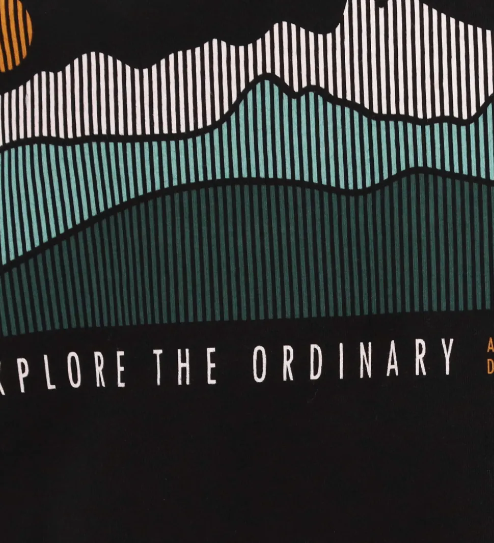 Hound T-shirt - Sort m. Print