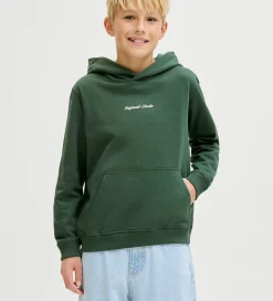 Jack & Jones Hættetrøje - Sweat - JorNorrebro - Sycamore