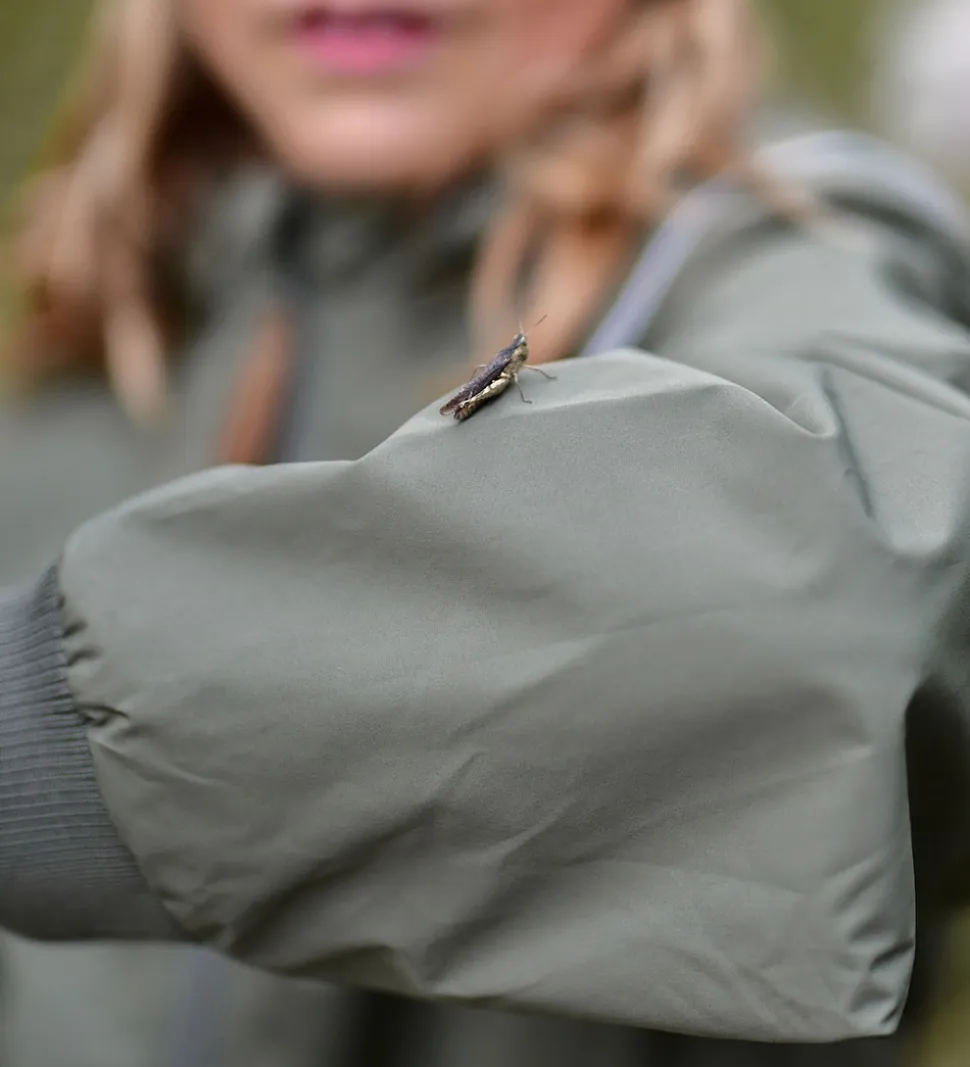 Mikk-Line Skaljakke - Dusty Olive