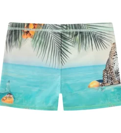 Molo Badebukser - UV50+ - Norton Placed - Leo On Surf