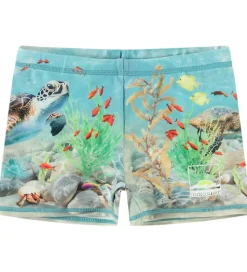 Molo Badebukser - UV50+ - Norton Placed - Happy Ocean