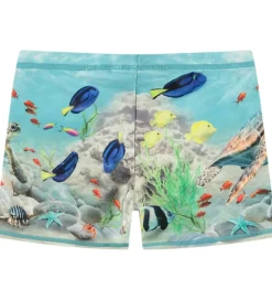 Molo Badebukser - UV50+ - Norton Placed - Happy Ocean