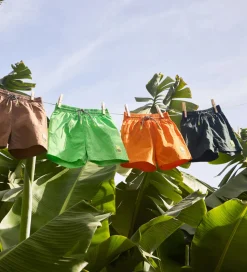 Molo Badeshorts - UV50+ - Niko Solid - Wood Green