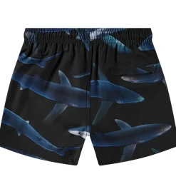 Molo Badeshorts - UV50+ - Niko - Midnight Sharks