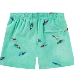 Molo Badeshorts - UV50+ - Niko - Ocean Surfers