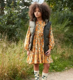 Molo Dynevest - Heike - Forest