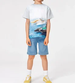 Molo Shorts - Denim - Ali - Soft Denim Blue