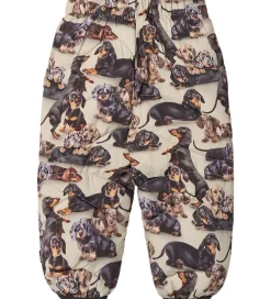 Molo Skibukser - Percy - Dashshund Soft