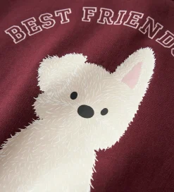 Name It Sweatshirt - NmfViloui - Burgundy/ Best Friend Club