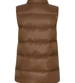 Ver de Terre Dunvest - Brownie