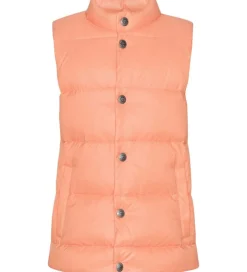 Ver de Terre Dunvest - Peach